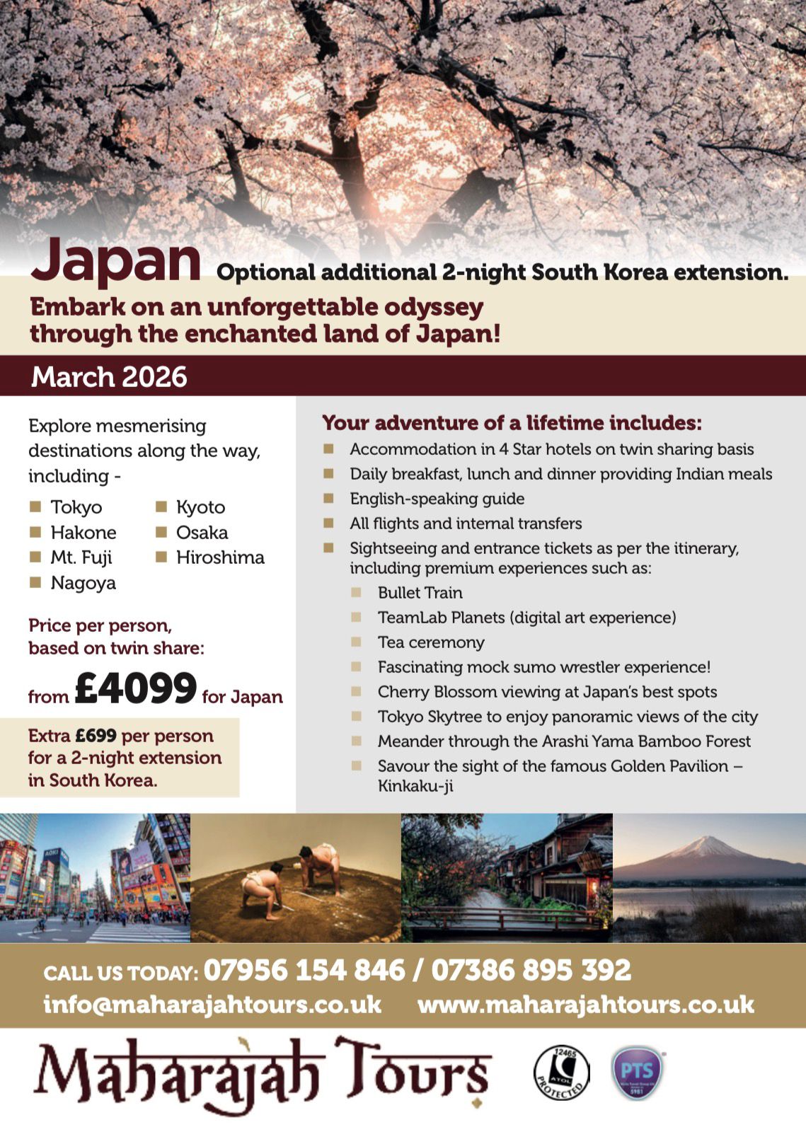 Cherry Blossom Japan - Image 2