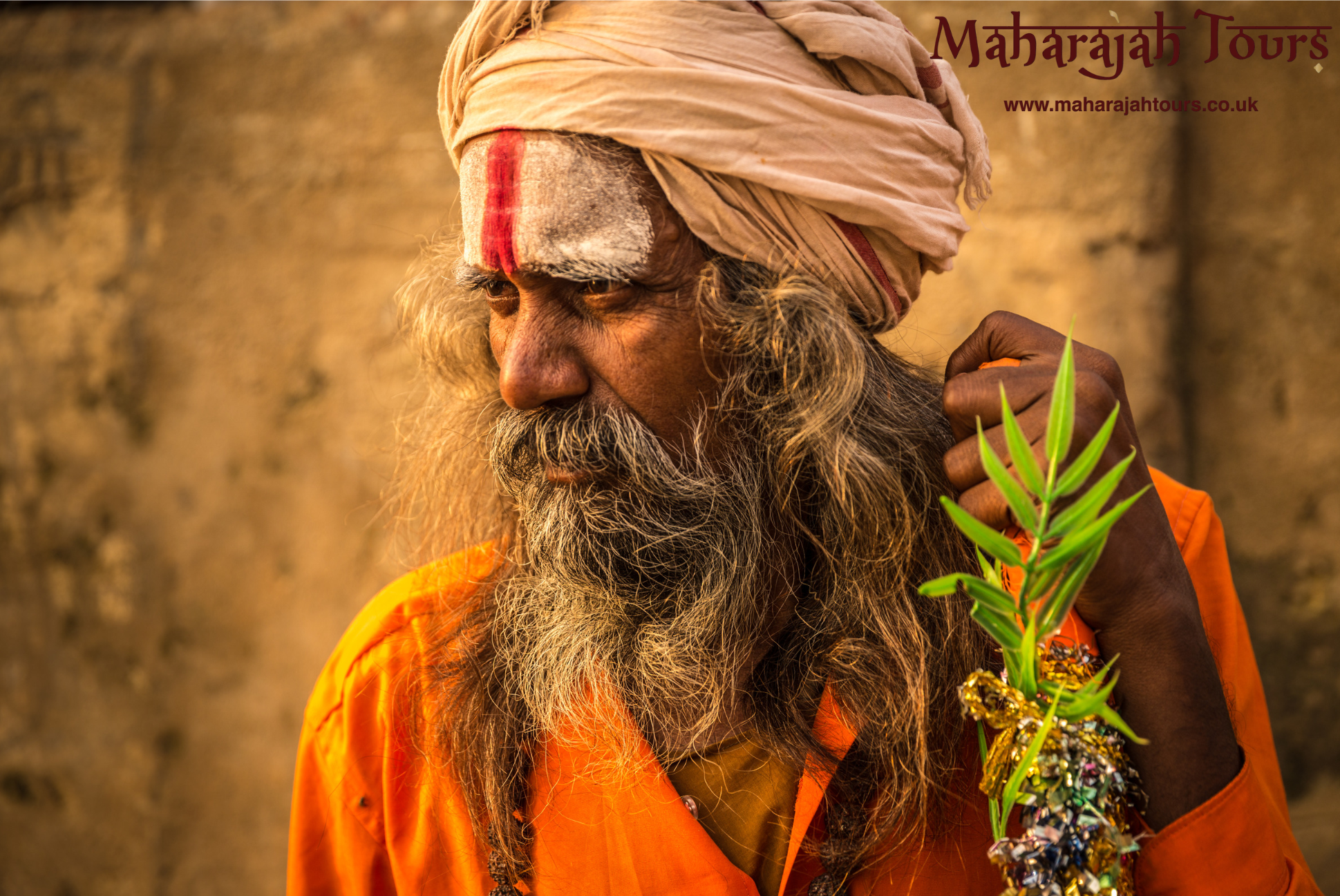 Grand North Indian Pilgrimage