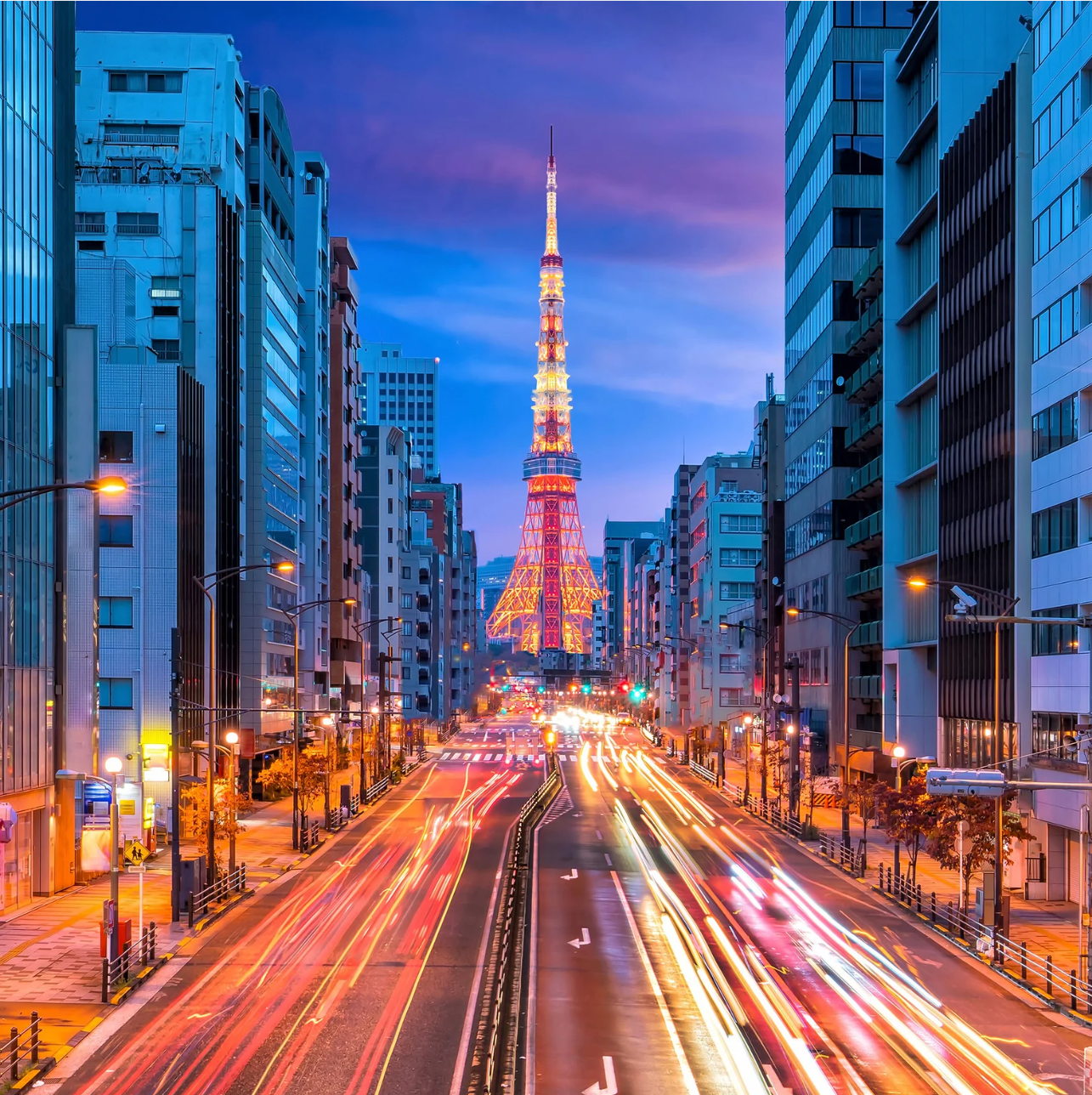 Cherry Blossom Journey