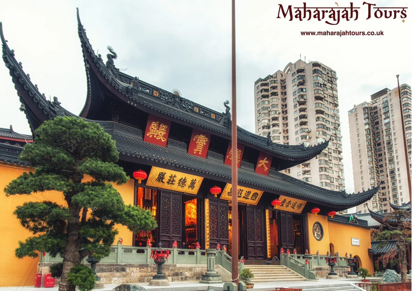 Captivating – The Essence of China Tour 2027 - Image 3