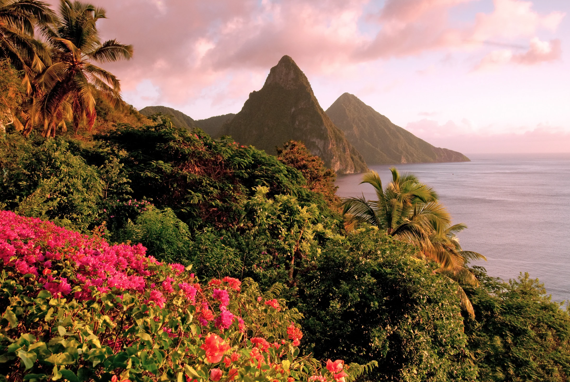 Caribbean Cruise 2025 - Image 6